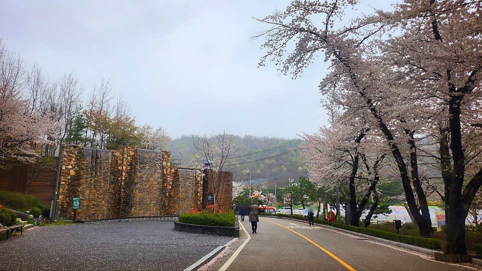 관악산 등산코스 추천 | 관악산역 - 관악산공원 - 연주대 - 관악사 - 과천향교 코스 후기 이미지 4