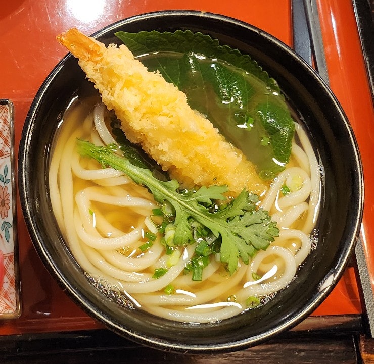 합정 우동 맛집 내돈내산 추천 | 미쉐린 우동 맛집 합정 교다이야 후기 및 평일 저녁 대기 시간 이미지 10