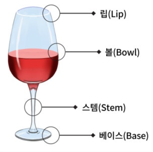 기초 와인 강좌 | 와인 마시는 에티켓 알아두면 품격이 달라지는 와인 기본 매너