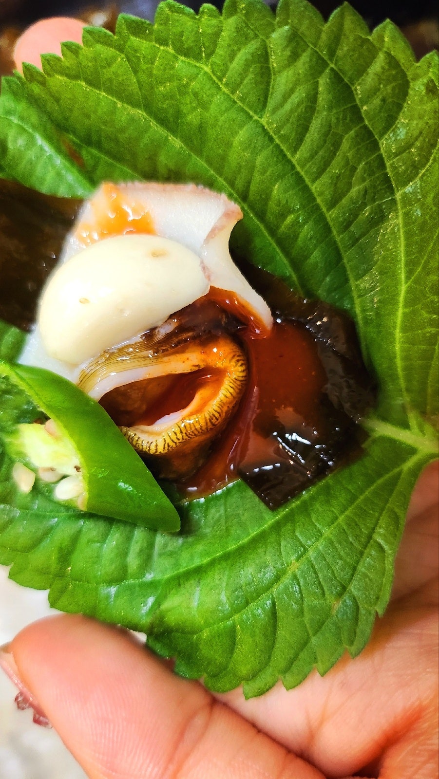 구좌 횟집 추천 | 우도 갔다 들르기 좋은 제주 오션뷰 횟집 구좌 맛집 제주청년회 후기 이미지 26