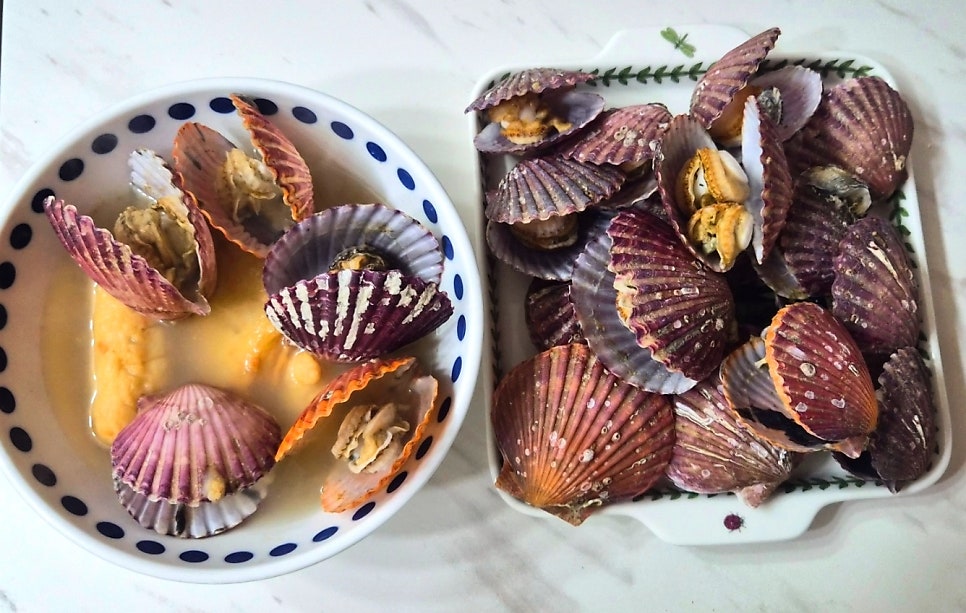 홍가리비 추천 | 제철 해산물 통영 가리비 세척법 및 맛있게 찌는 법 이미지 11