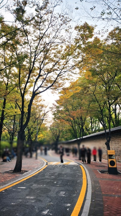 서울 데이트 코스 추천 | 가을을 느낄 수 있는 덕수궁과 정동길 산책 | 덕수궁 무료입장 정보 이미지 15