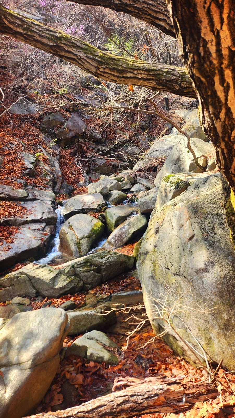 관악산 등산코스 추천 | 관악산역 - 관악산공원 - 연주대 - 관악사 - 과천향교 코스 후기 이미지 7