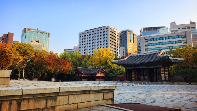 서울 데이트 코스 추천 | 가을을 느낄 수 있는 덕수궁과 정동길 산책 | 덕수궁 무료입장 정보 이미지 8