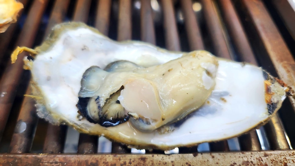 굴 맛집 화곡역 맛집 추천 | 싱싱한 굴과 가리비가 있는 화곡동 맛집 통영굴구이 후기 이미지 13