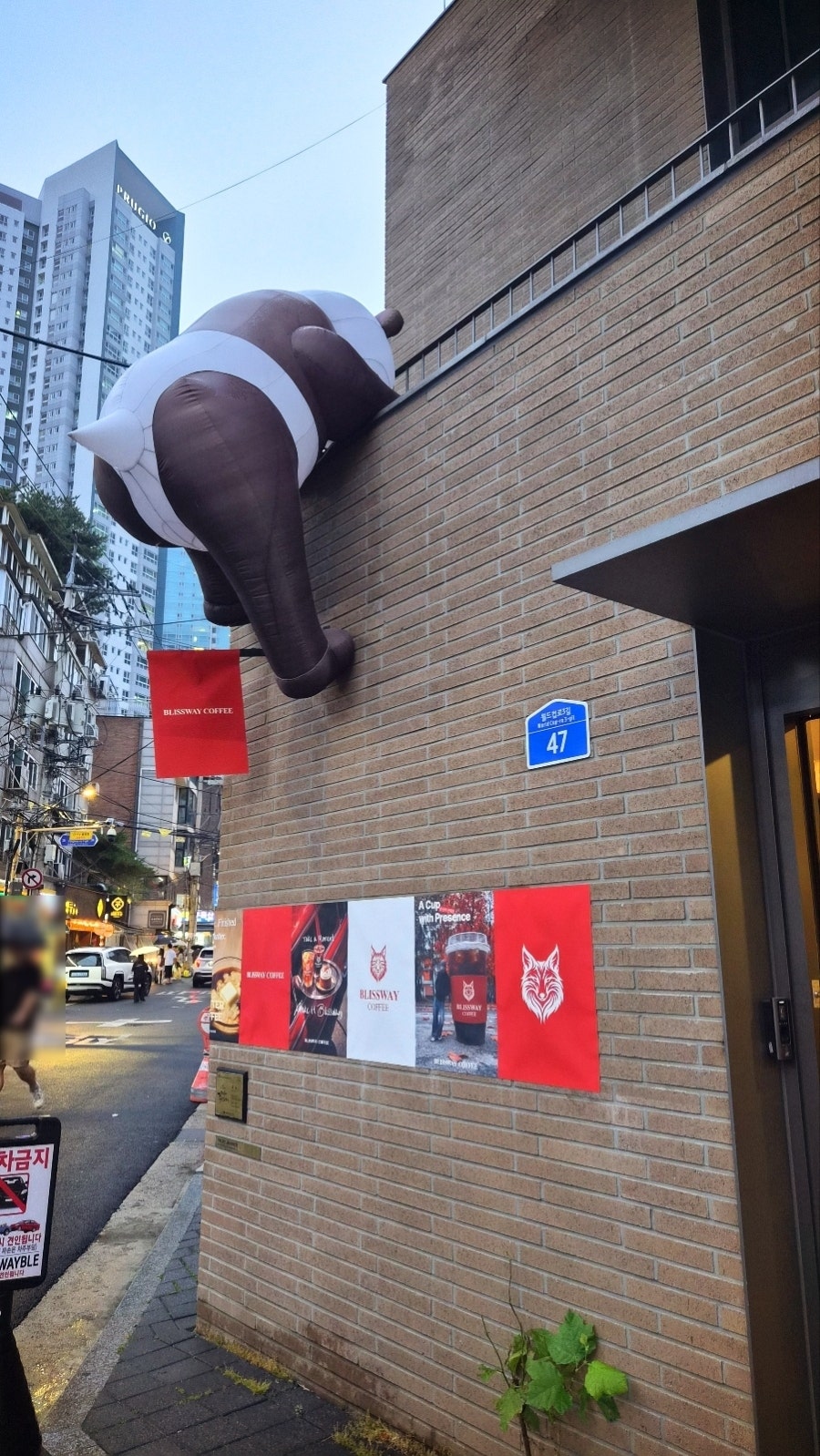 합정 카페 추천 | 디저트 맛집 카페 블리스웨이커피 합정본점 방문 후기 이미지 4