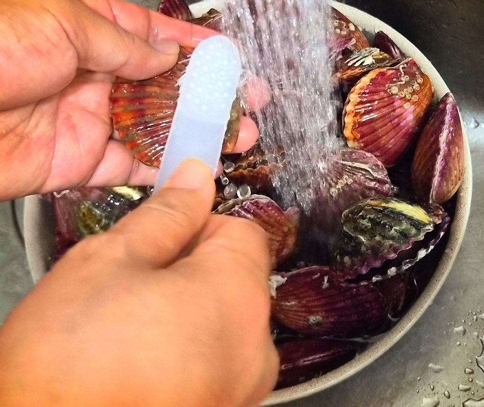 홍가리비 추천 | 제철 해산물 통영 가리비 세척법 및 맛있게 찌는 법 이미지 2
