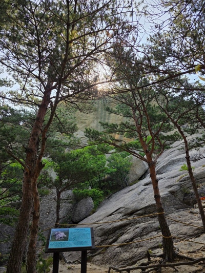 강원도 고성 | 금강산 설악산 성인대 화암사 숲길코스 울산바위 등산코스 후기 (코스, 주차정보) 이미지 10