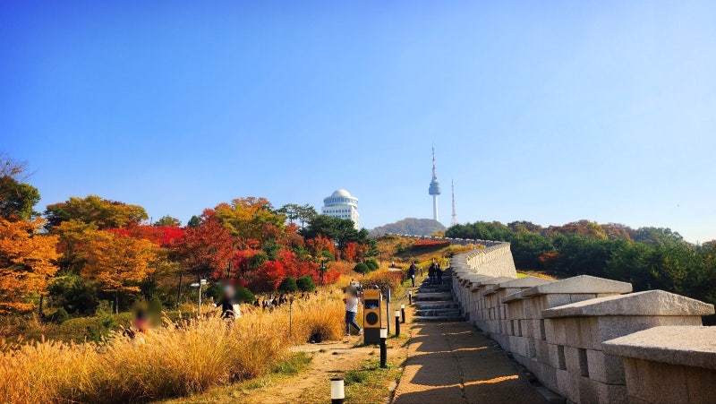 서울 데이트 코스 추천 | 단풍과 함께하는 남산공원 백범광장 코스 현재 이미지 24
