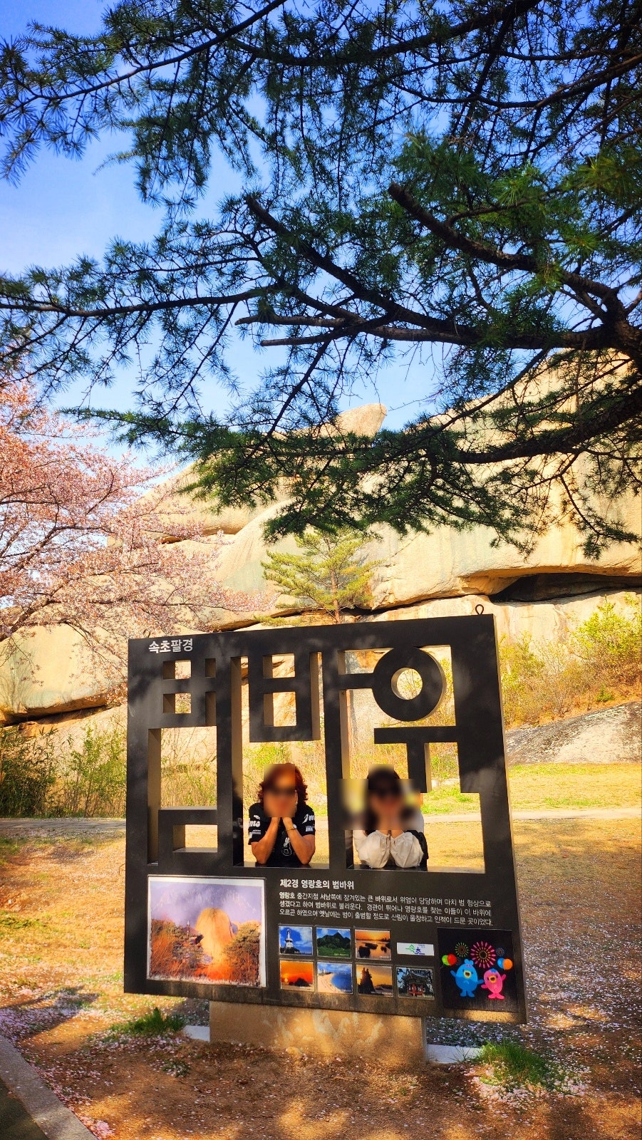 속초 영랑호 벚꽃길 산책 범바위 무료 주차 꿀팁 이미지 9