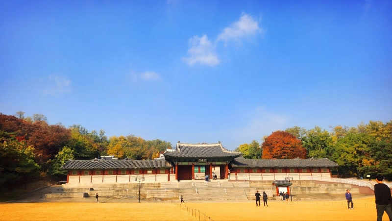 서울 데이트 코스 추천 | 단풍과 함께하는 경희궁 산책 코스 후기