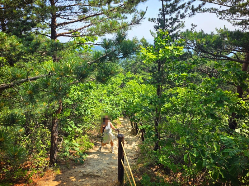 강원도 고성 | 금강산 설악산 성인대 화암사 숲길코스 울산바위 등산코스 후기 (코스, 주차정보) 이미지 11