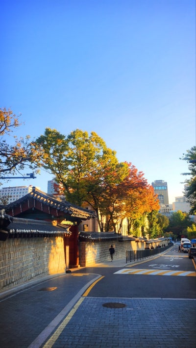 서울 데이트 코스 추천 | 가을을 느낄 수 있는 덕수궁과 정동길 산책 | 덕수궁 무료입장 정보 이미지 2
