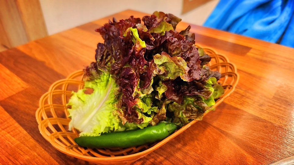 고성 토성면 맛집 추천 | 고성 천진 맛집 속초 돼지갈비 맛집 용촌고기집에서 돼지갈비 후기 이미지 17