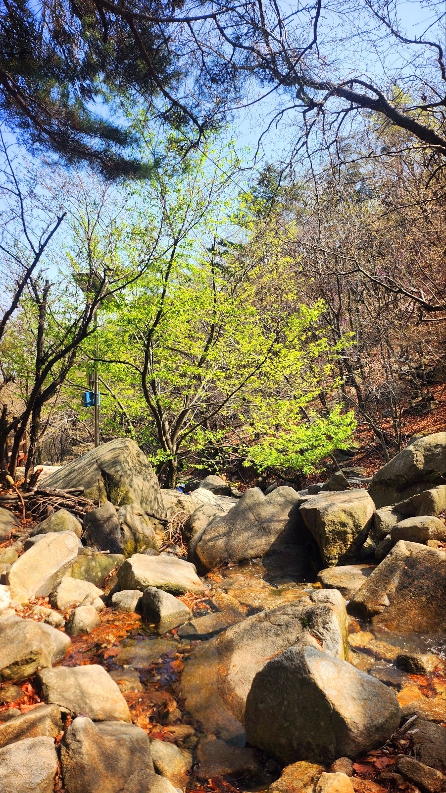 관악산 등산코스 추천 | 관악산역 - 관악산공원 - 연주대 - 관악사 - 과천향교 코스 후기 이미지 11