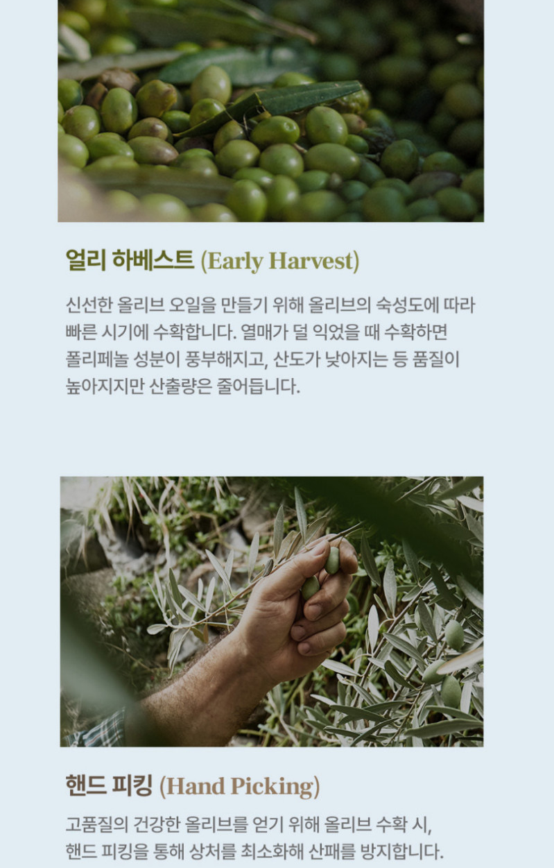 프리미엄 올리브오일 추천 | 그리스 유기농 올리브오일 단일품종 메디테레 올리브오일 후기 이미지 8