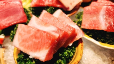 마곡 발산역 참치 맛집 추천 | 분위기도 좋고 가성비 미친 마곡 이자카야 대물참치 마곡점 후기 이미지 24