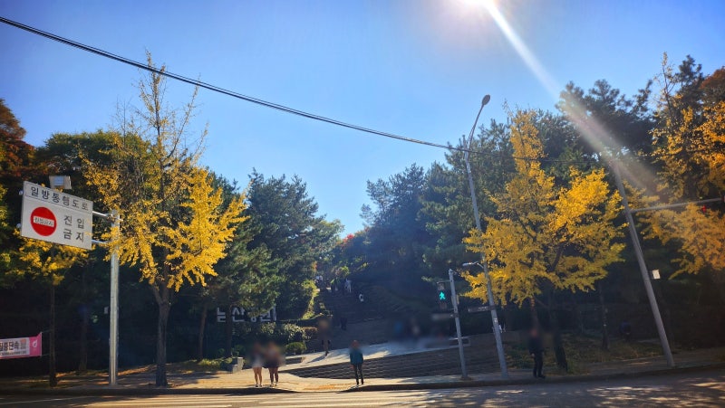 서울 데이트 코스 추천 | 단풍과 함께하는 남산공원 백범광장 코스 현재 이미지 15