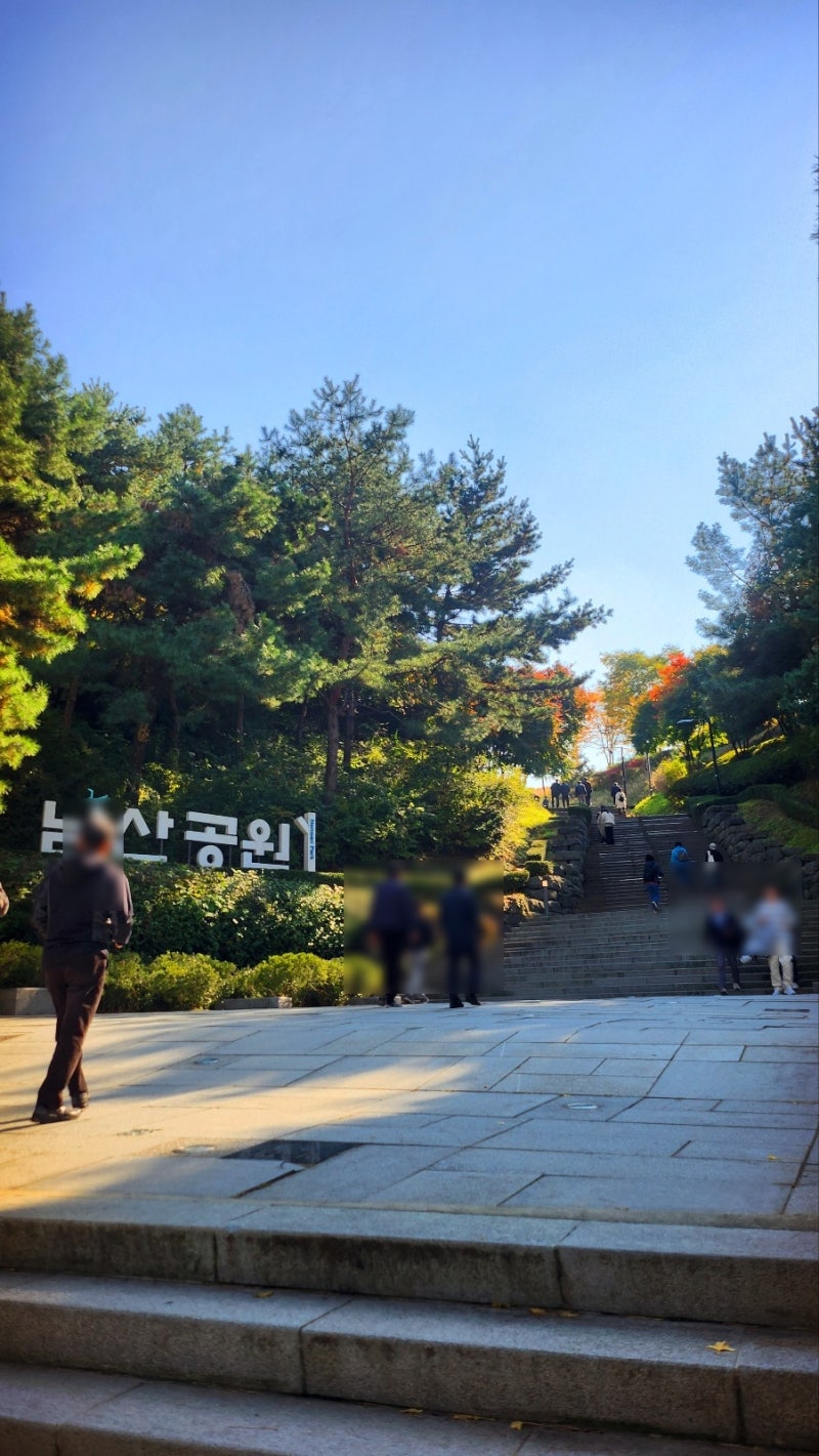 서울 데이트 코스 추천 | 단풍과 함께하는 남산공원 백범광장 코스 현재 이미지 16