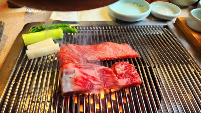 콜키지프리 경복궁맛집 추천 | 분위기 있는 서촌맛집 통의동 국빈관 경복궁역점 후기 이미지 9