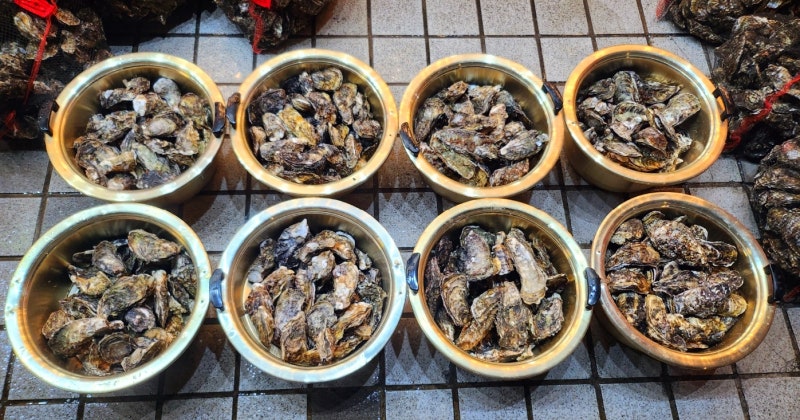 굴 맛집 화곡역 맛집 추천 | 싱싱한 굴과 가리비가 있는 화곡동 맛집 통영굴구이 후기 이미지 5