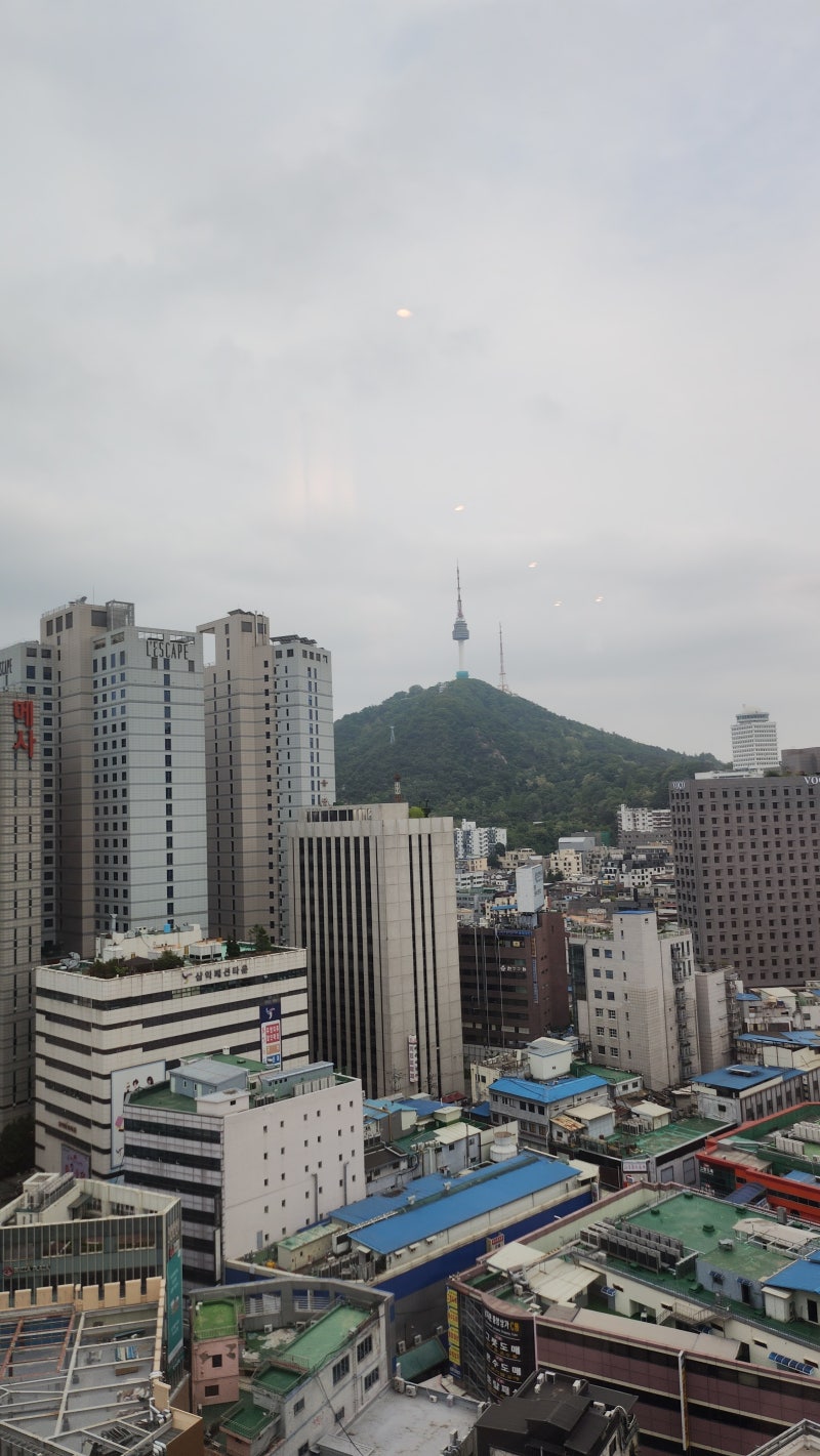 [남대문 신상 베이커리] THE 22  방문 후기 - 22층에서 내려다본 커피 한 잔의 여유 이미지 3