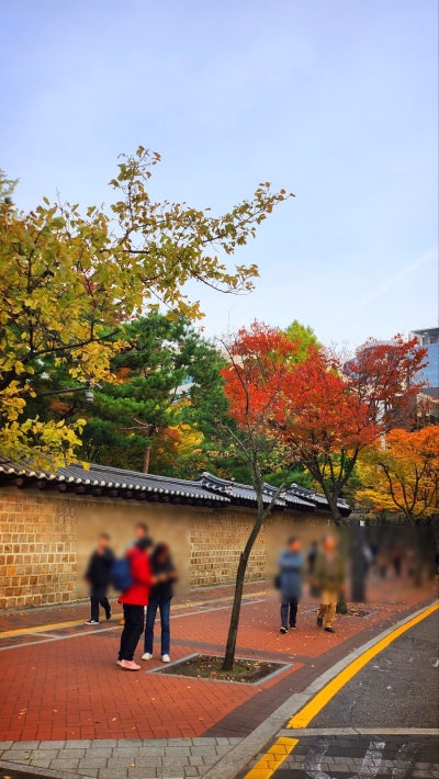서울 데이트 코스 추천 | 가을을 느낄 수 있는 덕수궁과 정동길 산책 | 덕수궁 무료입장 정보 이미지 11