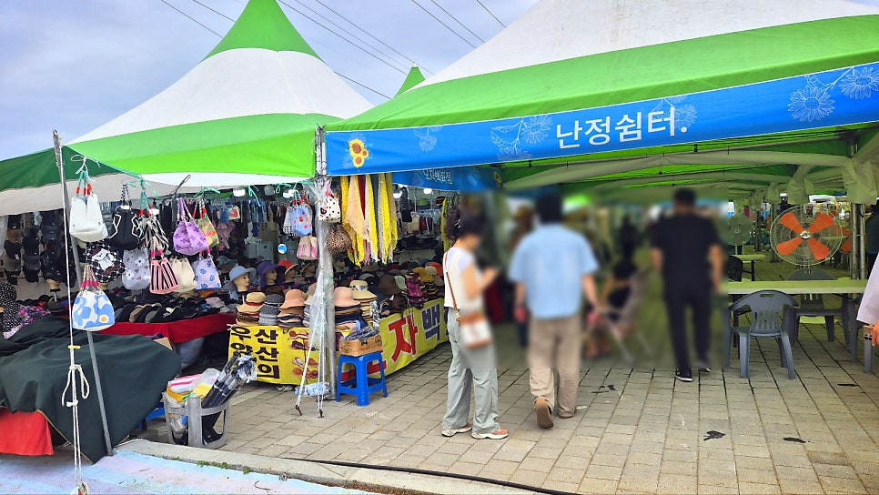 교동 해바라기 축제 | 당일치기 여행으로 추천하는 9월 가볼만한 곳 강화 교동도 난정 해바라기 축제 이미지 9