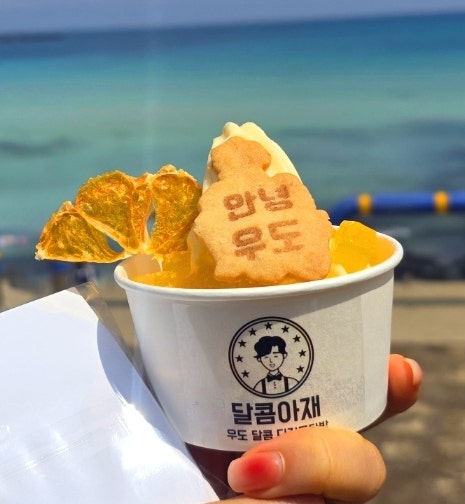 우도 땅콩아이스크림 맛집 추천 | 한라봉 아이스크림도 맛있는 우도 달콤아재 찐 후기 이미지 15