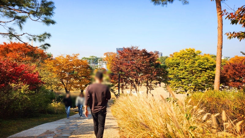 서울 데이트 코스 추천 | 단풍과 함께하는 남산공원 백범광장 코스 현재 이미지 14