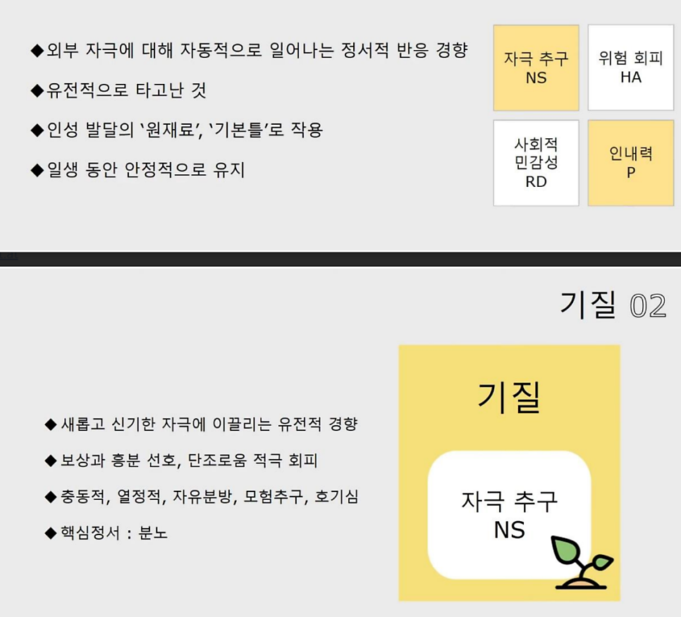 TCI 기질 검사 추천 | 유전적 기질과 성격을 동시에 측정하는 TCI 검사 후기 이미지 7