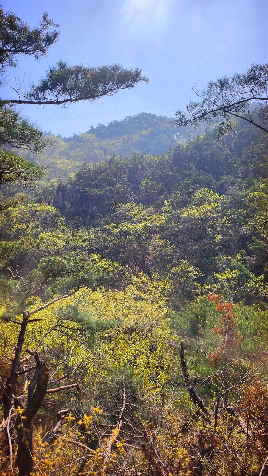 관악산 등산코스 추천 | 관악산역 - 관악산공원 - 연주대 - 관악사 - 과천향교 코스 후기 이미지 16