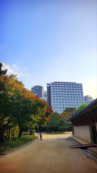 서울 데이트 코스 추천 | 가을을 느낄 수 있는 덕수궁과 정동길 산책 | 덕수궁 무료입장 정보 이미지 17