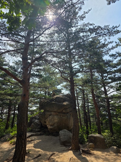 강원도 고성 | 금강산 설악산 성인대 화암사 숲길코스 울산바위 등산코스 후기 (코스, 주차정보) 이미지 14