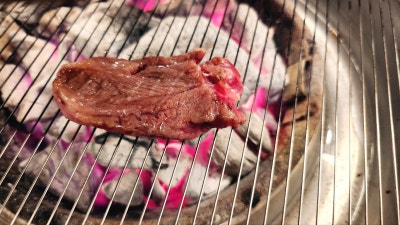 선릉 소고기집 추천 | 선릉역 돼지갈비 소갈비 맛집 바우한우 후기 이미지 35