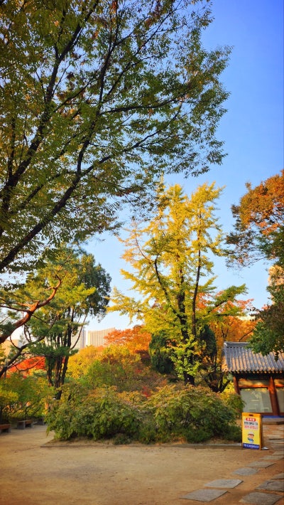 서울 데이트 코스 추천 | 가을을 느낄 수 있는 덕수궁과 정동길 산책 | 덕수궁 무료입장 정보 이미지 9