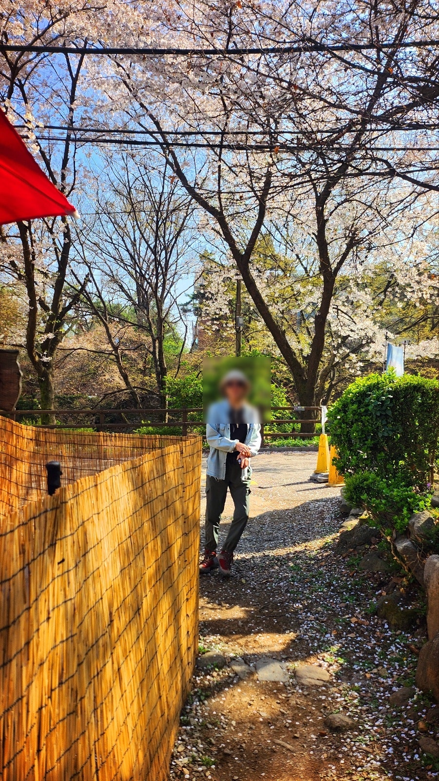 관악산 등산 후 막걸리 내돈내산 추천 | 과천 땅이네집 후기 이미지 2