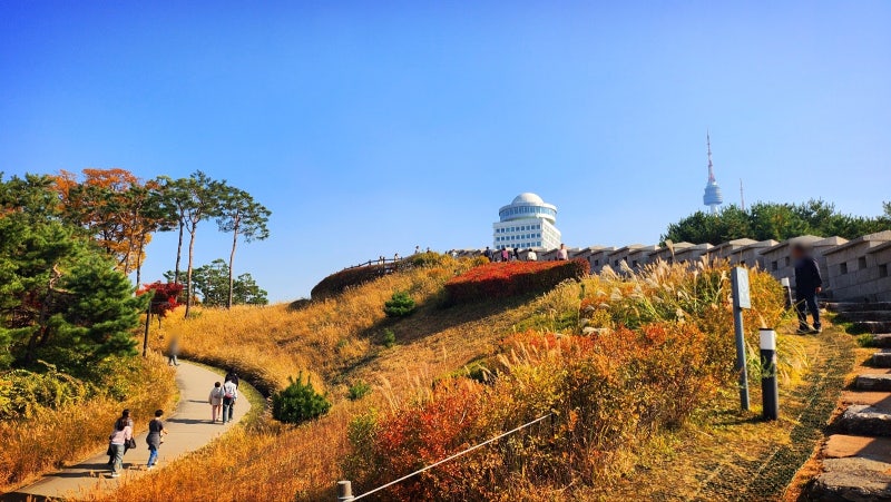 서울 데이트 코스 추천 | 단풍과 함께하는 남산공원 백범광장 코스 현재 이미지 26