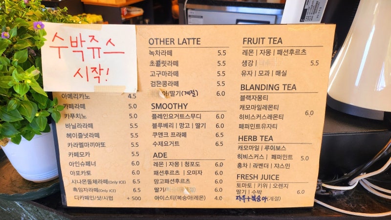 목포여행 | 목포 내돈내산 뷰 맛집 카페 추천 | 케익 맛집 목포 카페 봄날 후기 이미지 10