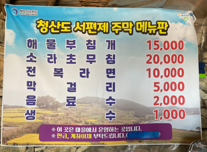 청산도 여행 코스 추천 | 서편제 촬영지 후기 (가는 방법, 버스 시간 안내) 이미지 10