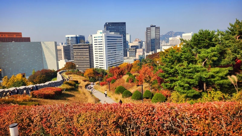 서울 데이트 코스 추천 | 단풍과 함께하는 남산공원 백범광장 코스 현재 이미지 13