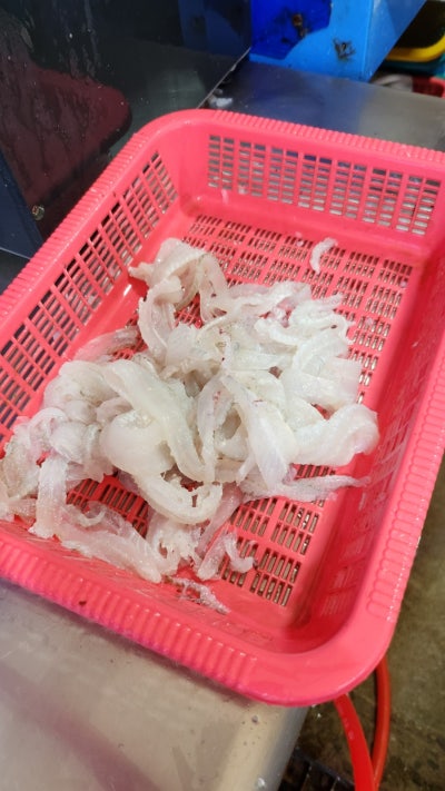 속초 고성 낚시 추천 | 색다른 강원도 놀거리 고성 ‘안슨장호’ 체험낚시 후기 이미지 30