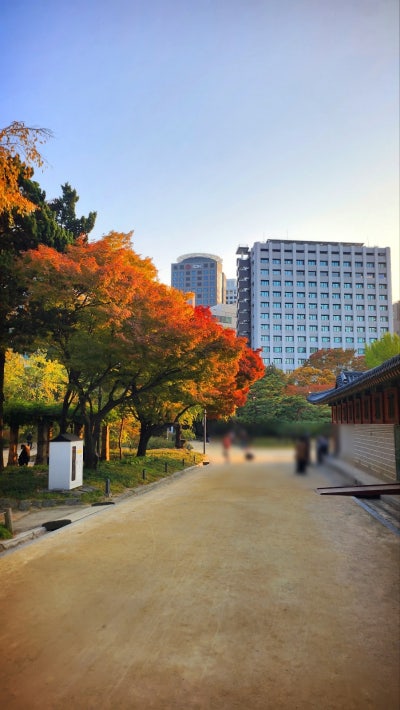 서울 데이트 코스 추천 | 가을을 느낄 수 있는 덕수궁과 정동길 산책 | 덕수궁 무료입장 정보 이미지 18