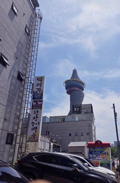 체스턴톤스 속초 맛집 | 백세가든 한방능이백숙 후기 이미지 3
