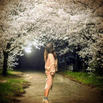 애월 장전리 벚꽃 거리 | 제주 산책코스 제주 여행코스 제주 가볼만한 곳 코스 추천 이미지 9