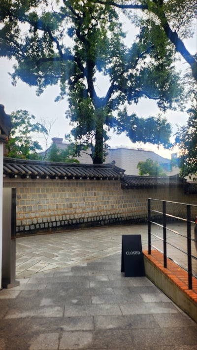 광화문 시청 덕수궁 내돈내산 카페 추천 | 전시도 볼 수 있는 스페이스 소포라 후기 이미지 2