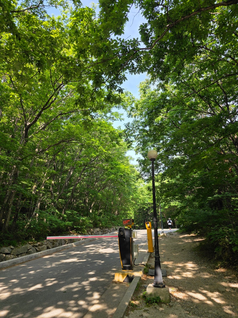 강원도 고성 | 금강산 설악산 성인대 화암사 숲길코스 울산바위 등산코스 후기 (코스, 주차정보)