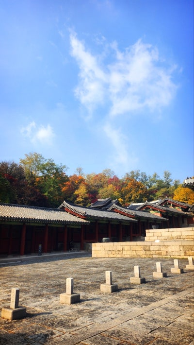서울 데이트 코스 추천 | 단풍과 함께하는 경희궁 산책 코스 후기 이미지 3