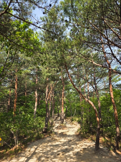 강원도 고성 | 금강산 설악산 성인대 화암사 숲길코스 울산바위 등산코스 후기 (코스, 주차정보) 이미지 12