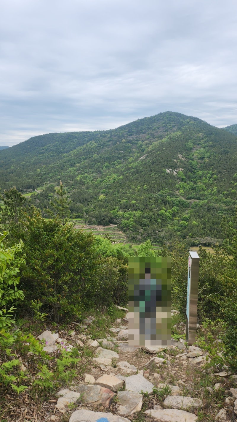 청산도 여행 코스 추천 | 칼바위 장기미해변 유채꽃포인트 이미지 9